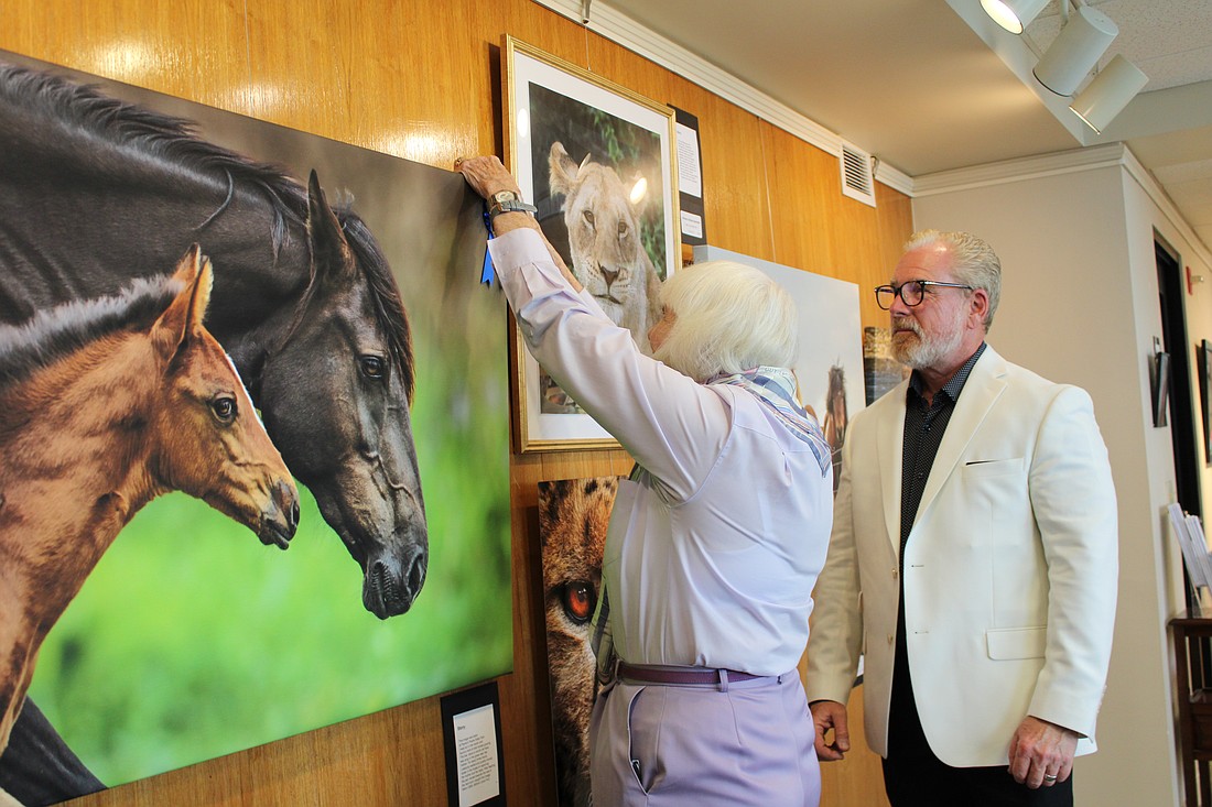 Photographer Rick Waid looks on as curator Anita Pihl affixes a blue ribbon to his piece, "Wild Mare with Foal," at the May 12 reception for a gallery by local photographers up now at Plymouth Harbor.