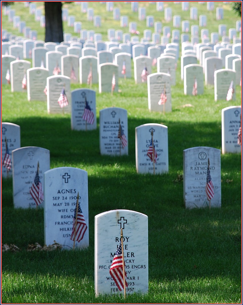 Gravestones at Arlington National Cemetery, photographed on Memorial Day in 2008. Courtesy of Randy Jaye