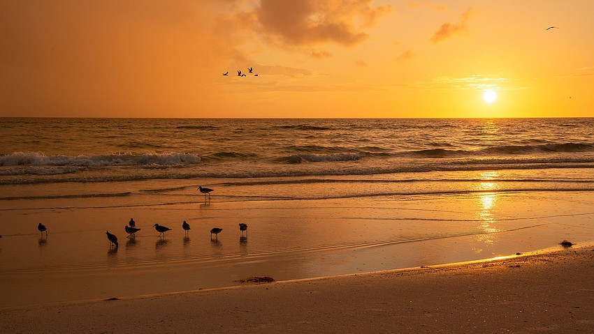 Manjesh Lingamurthy took this photo of a beautiful sunset on Siesta Key Beach.