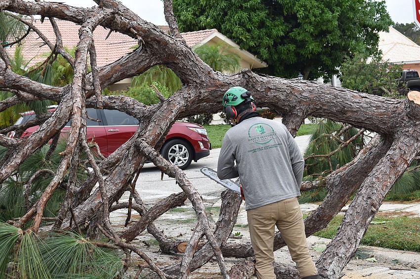 Trees and their limbs pose one of the greatest risks to electrical transmission equipment.