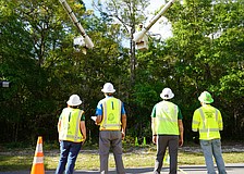 Though Florida Power & Light employs a variety of advanced technology to avoid power failures, often the basic work of tree trimming goes a long way toward heading off trouble.