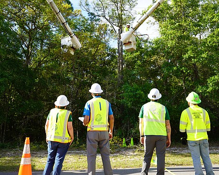 Though Florida Power & Light employs a variety of advanced technology to avoid power failures, often the basic work of tree trimming goes a long way toward heading off trouble.