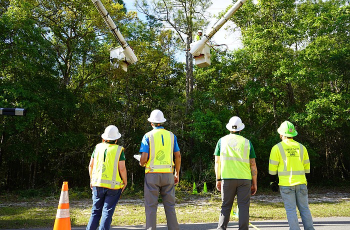 Though Florida Power & Light employs a variety of advanced technology to avoid power failures, often the basic work of tree trimming goes a long way toward heading off trouble.