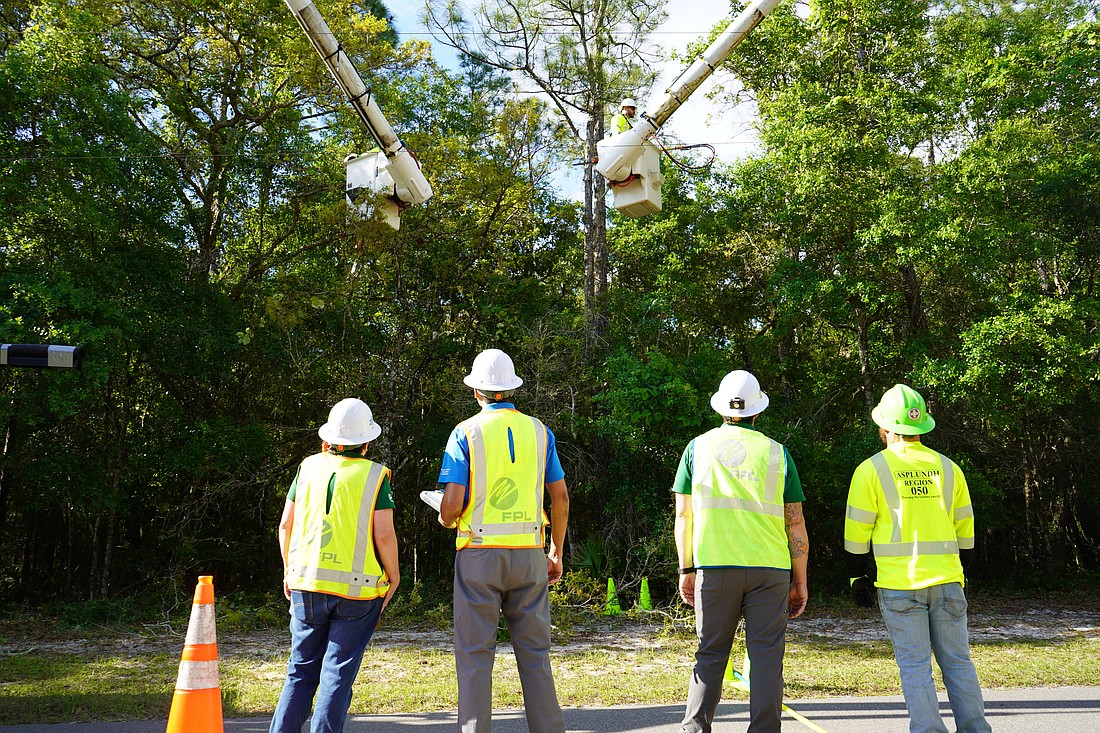 Though Florida Power & Light employs a variety of advanced technology to avoid power failures, often the basic work of tree trimming goes a long way toward heading off trouble.