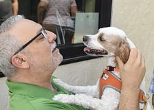 Rabbi Michael Shefrin meets Colby.