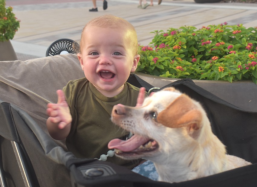 Levi Argo, 1, and his canine buddy, Dexter, an 8-year-old chihuahua, are visiting from Alabama and couldn't pass up Ranch Nite Wednesdays at Waterside Place.