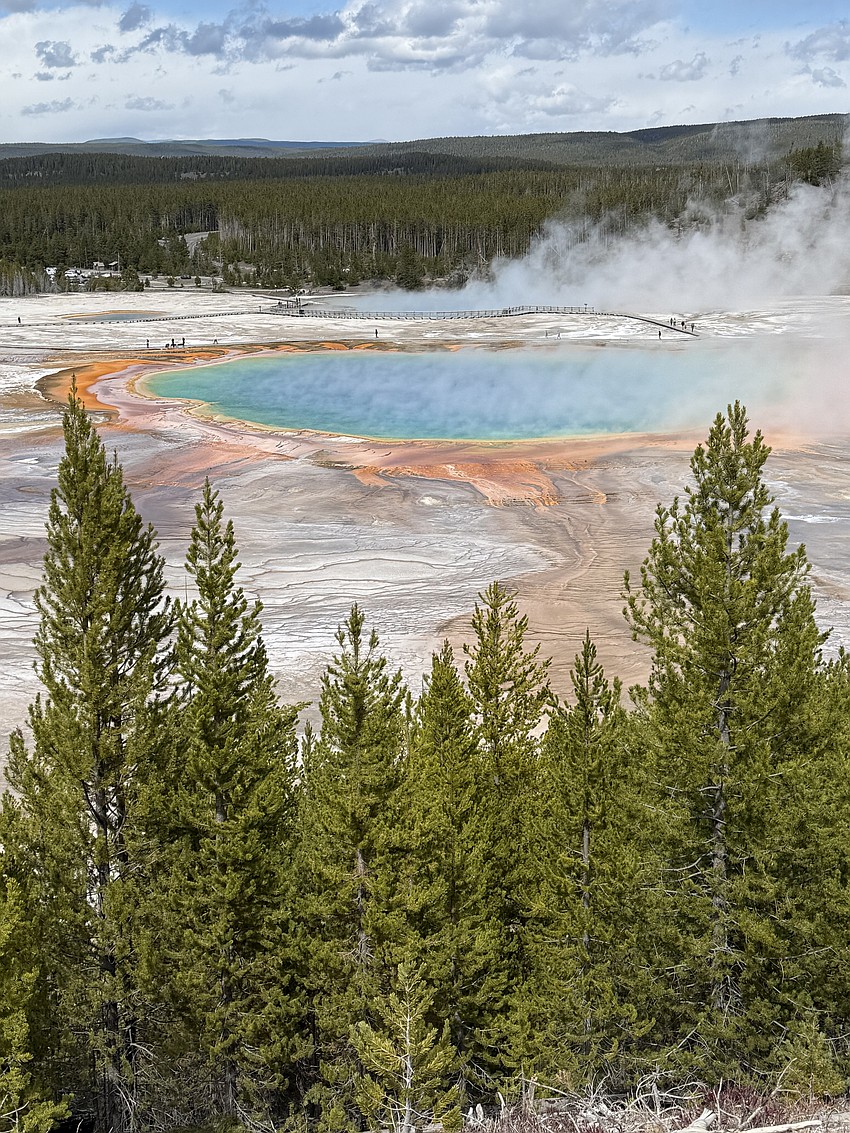 The Grand Prismatic was one of Joyce and Randy Rouses’ favorite places to see on their trip. The Grand Prismatic was one of Joyce and Randy Rouses’ favorite places to see on their trip.