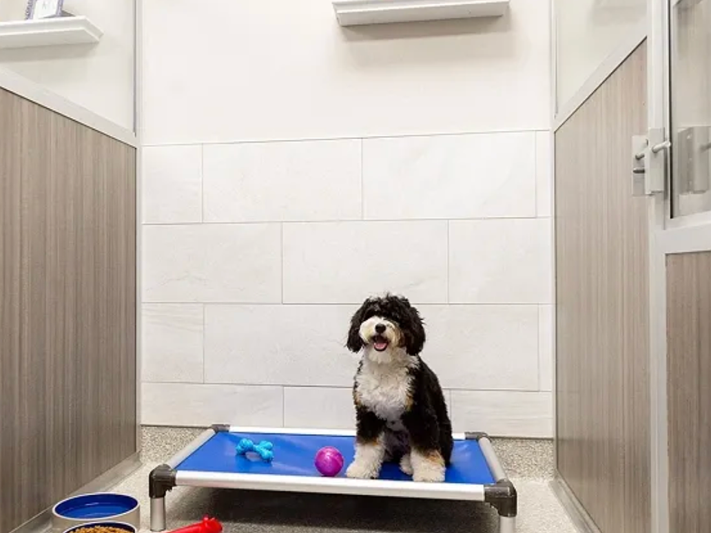 K9 Resorts Jacksonville is tentatively scheduled to open June 27 with 11,900 square feet of indoor and outdoor boarding and daycare space for pets, southwest of the St. Johns Town Center, according to a May 27 news release.