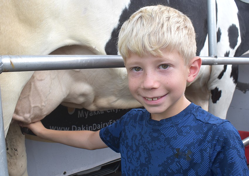 Lakewood Ranch's Jakob Howarter, 8, is happy to milk a cow from Dakin Dairy Ag Experience during the Junior Rancher's Agriculture Summer Camp at Lakewood Ranch High School.