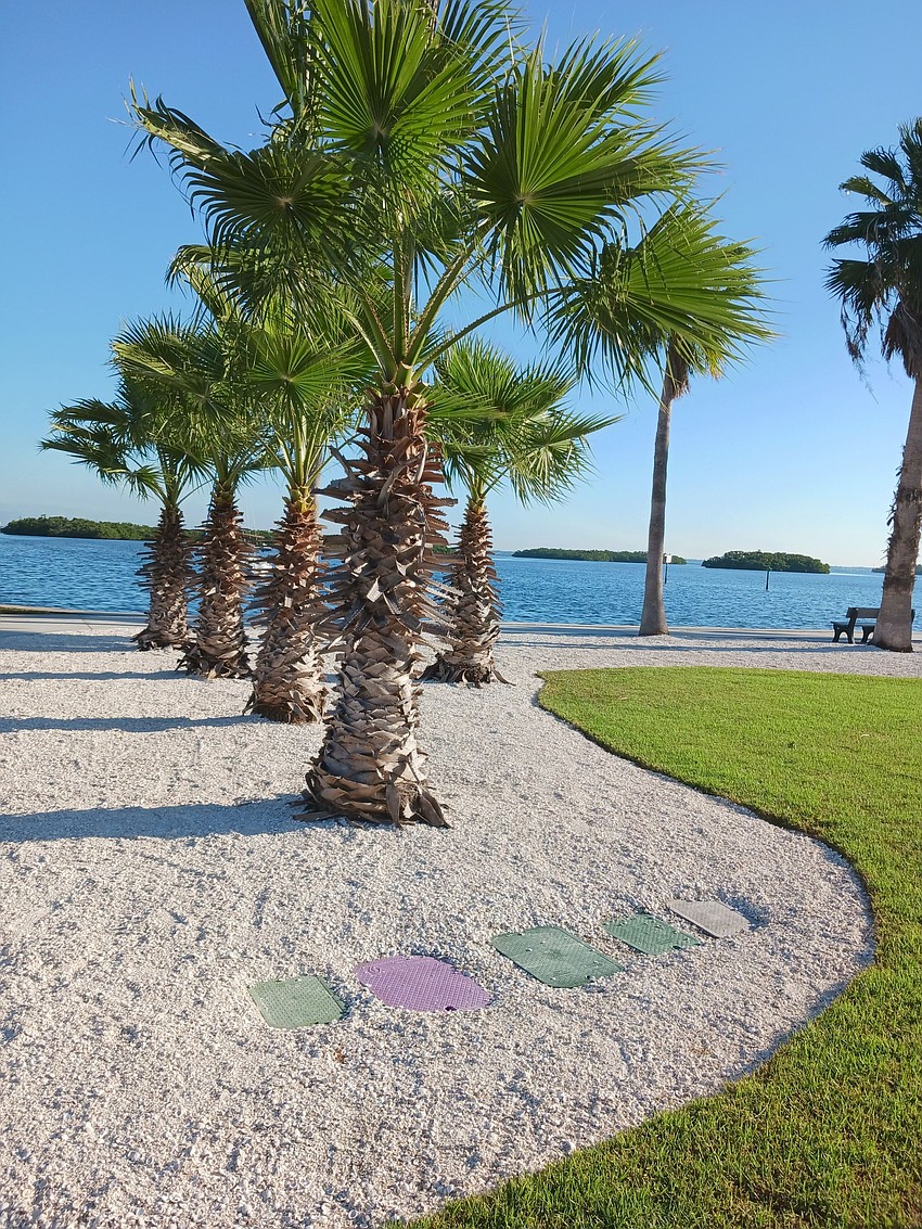 P. Nicki Bergin took this photo at Bayfront Park on Longboat Key.