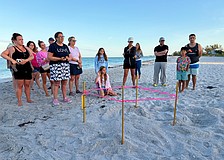 Members of the public curious to learn more about Longboat Key's sea turtle population ask questions of the experts at the first Turtle Walk of the nesting season on June 6 beside the newly staked nest.