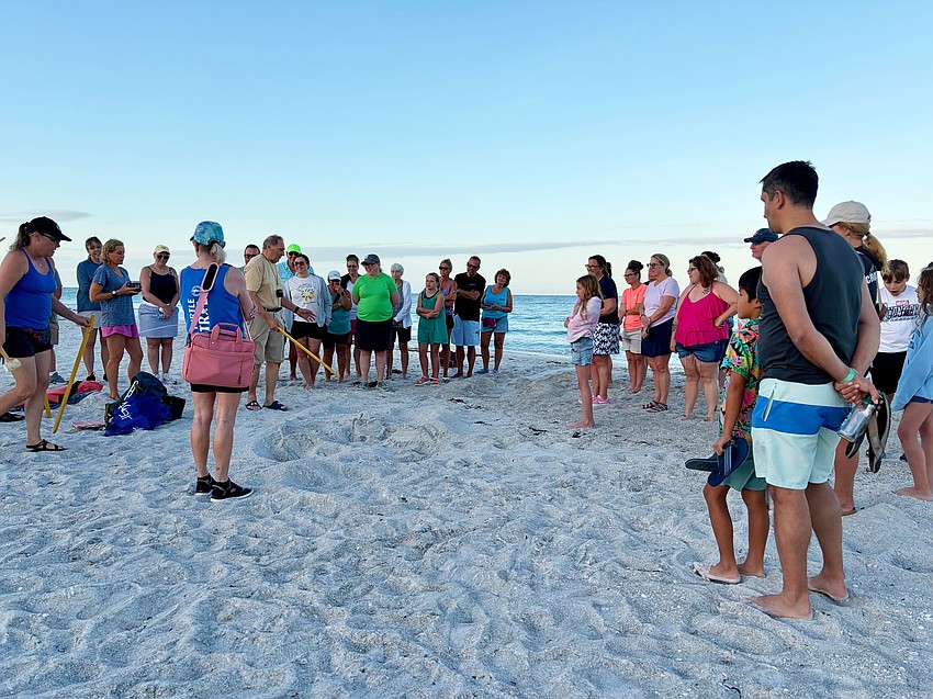 Turtle Walk attendees gather around a test while Connie Schindewolf points out features of the mother turtle's tracks leading up to the site.