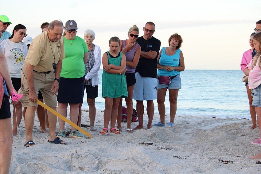 Volunteer Enrico “Sam” DiGiammarino, Jr. traded in his Nordic walking sticks for a turtle nest stake while assisting with an educational Turtle Walk on June 6 on Longboat Key.