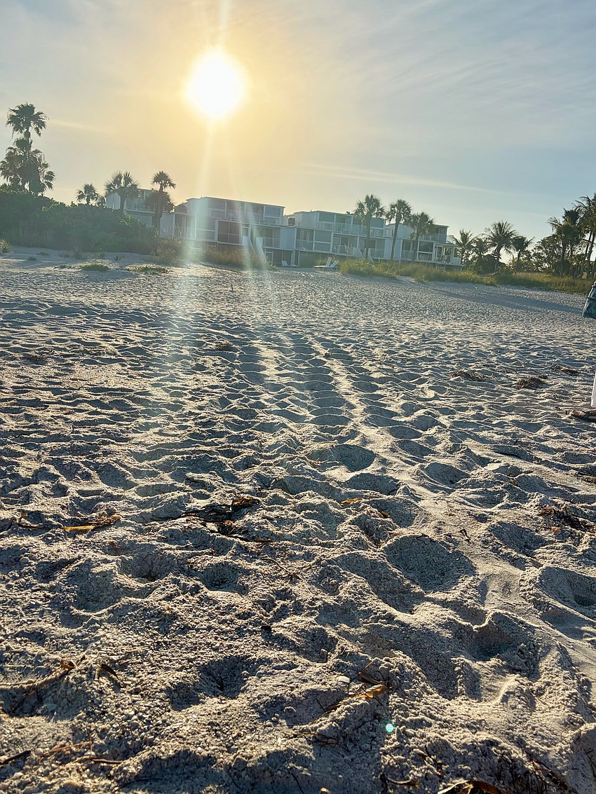 Evidence of one turtle's trek up the beach the night prior remained in the sand the morning of June 6.