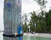 A piece of driftwood that juts from the shallow water off Beer Can Island is decorated with paint.