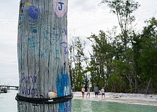 A piece of driftwood that juts from the shallow water off Beer Can Island is decorated with paint.