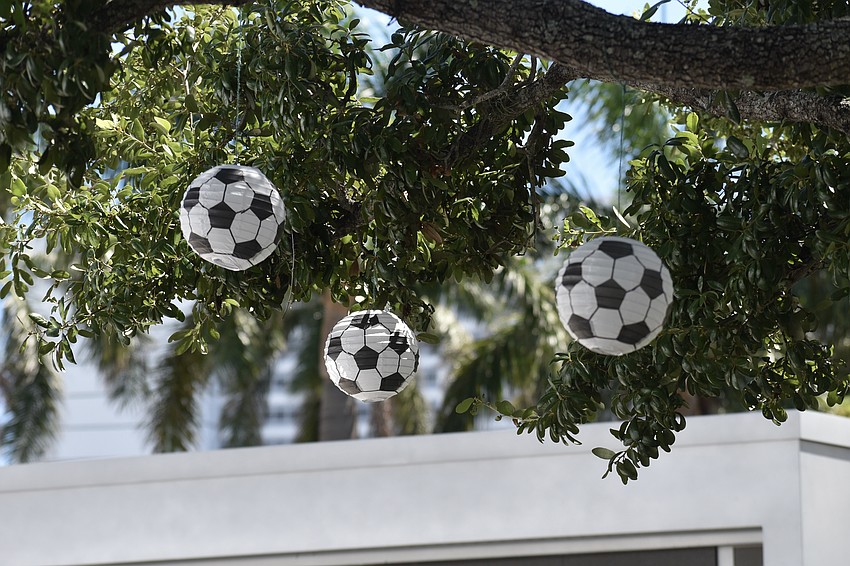 Soccer ball decorations hang from a tree.