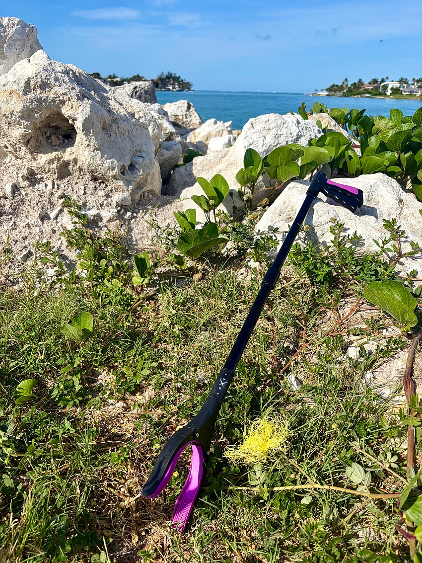 Volunteers picked up discarded fishing line, cigarettes, food containers and more to clean up the shoreline of Longboat Key Little Beach. The quarterly MTC cleanups are open to all, not only club members.