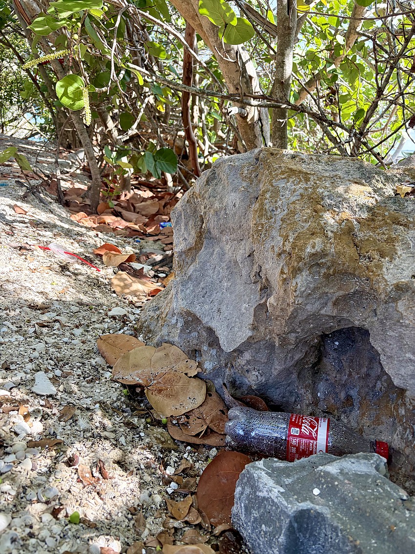 Volunteers checked high and low for trash in need of removal along the shoreline.