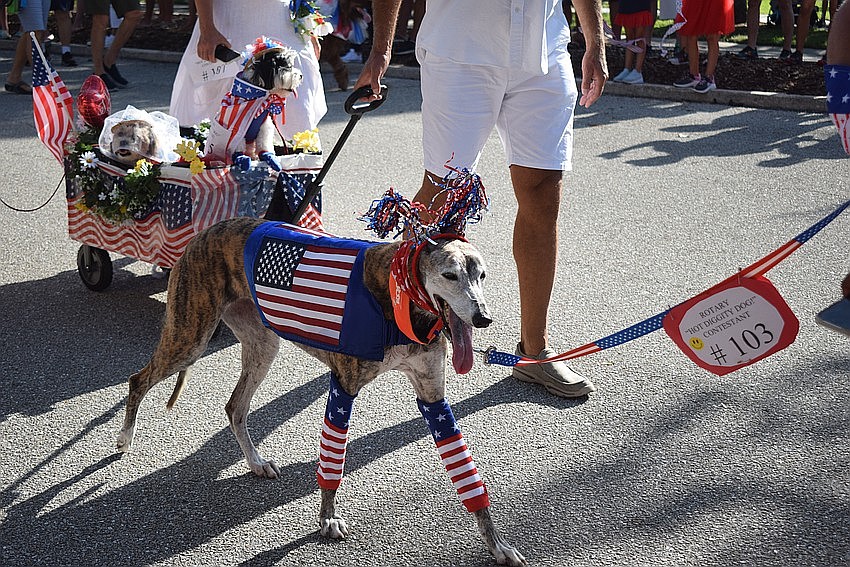 Heather, Ray and Ayla Sellers' dog Banyon walk in the Hot Diggity Dog! section of the Freedom Fest parade. Heather, Ray and Ayla Sellers' dog Banyon walk in the Hot Diggity Dog! section of the Freedom Fest parade.