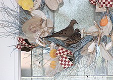 Audubon Society members say doves aren't the smartest birds when it comes to choosing a place to build a nest.