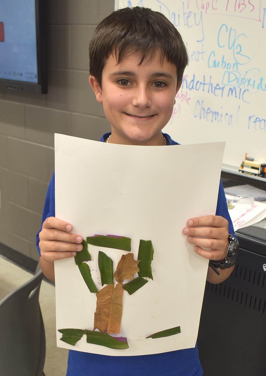 Vince Thacker, a rising seventh grader at R. Dan Nolan Middle School, decided to create a tree out of leaves as his artistic project.