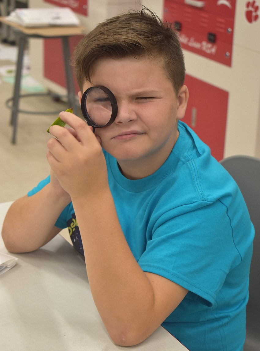 Christian Stefanoski, a rising fifth grader at Willis Elementary, studies a palmate leaf with a magnifying glass.