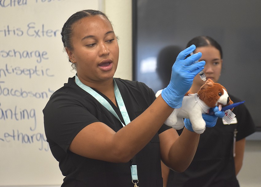Little Medical School Suncoast's Katarina McCall demonstrates how to use a syringe to give a dog medication to the Little Vet School campers.