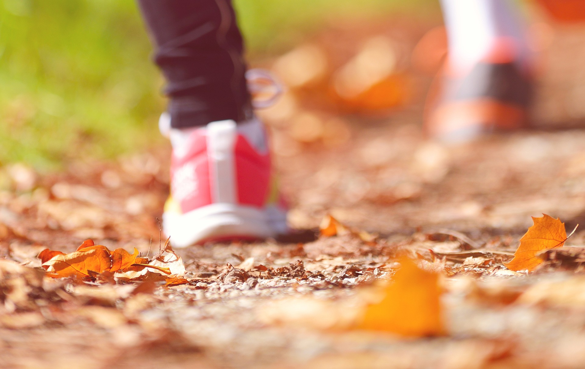 Young couple jogging in park at morning. Health and fitness.