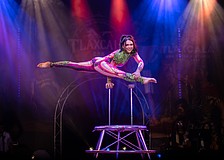 Hand balancer Yelitza Vivas wows the crowd at the Summer Circus Spectacular, which runs through Aug. 8 at The Ringling's Historic Asolo Theater.