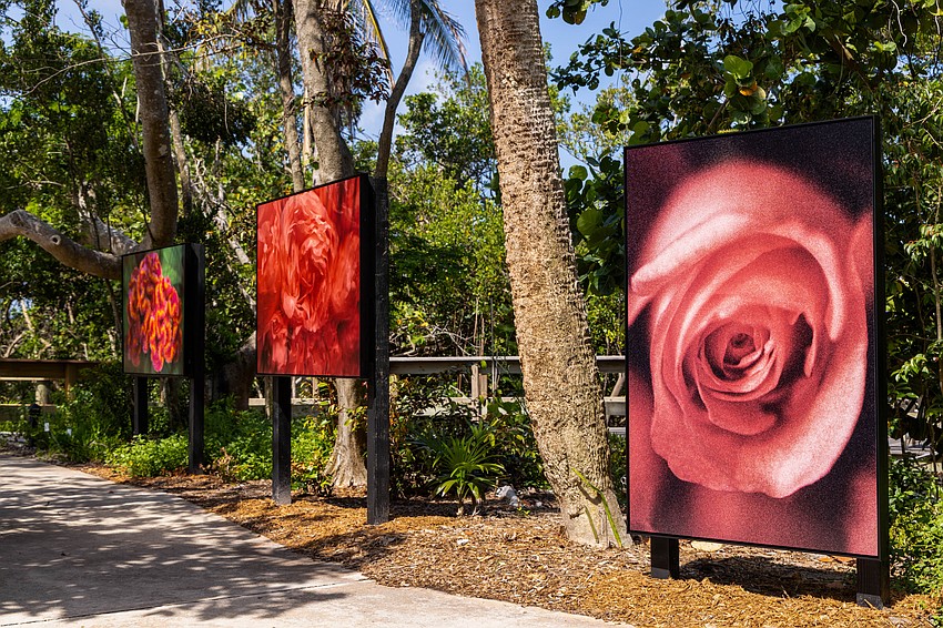 Lynn Goldsmith's photography exhibition, 