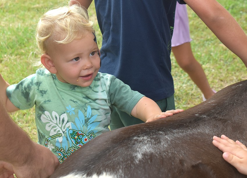 Malik Lechtner, 1, who is no stranger to farm animals, pets therapy pony Penelope from Smart with Heart at Fiorelli Winery.
