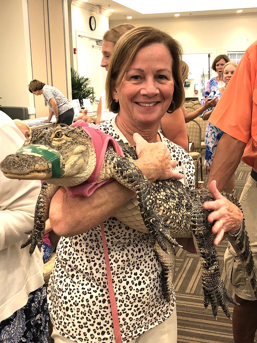 Esplanade’s Kristin Sciuto was hooked on being a member of the Lakewood Ranch Women's Club from her first meeting where she got to hold a baby alligator. Esplanade’s Kristin Sciuto was hooked on being a member of the Lakewood Ranch Women's Club from her first meeting where she got to hold a baby alligator.