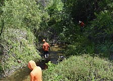 A crew clears vegetation and downed trees from the Braden River in May 2025, but there's about $18.8 million of cleaning left to complete in waterways around Manatee County.