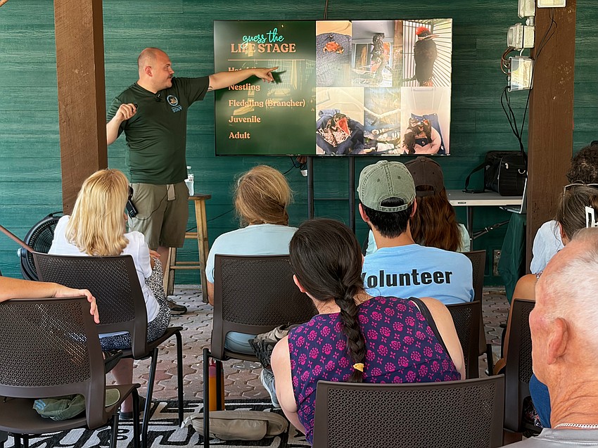 Senior Avian Hospital Technician Jonathan Hande teaches the differences between a hatchling, nestling, fledgling, juvenile and adult bird during a volunteer training session at Save Our Seabirds.