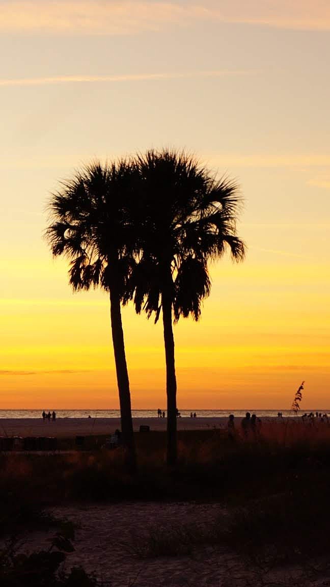 Beaches were one of the reasons CNN noted Sarasota at the top of its 2026 list of cities to visit. Beaches were one of the reasons CNN noted Sarasota at the top of its 2026 list of cities to visit.