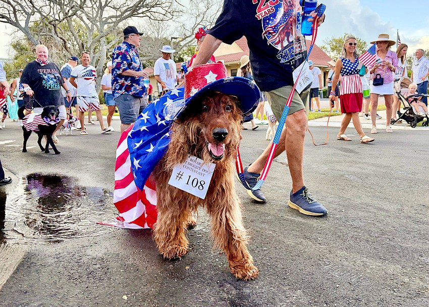 Tully, the 8-year-old Irish setter, 'paws'es for a close-up during the Freedom Fest parade. Accompanied by Eileen Kamerick and Vic Heckler, the curly-haired pup won the 'Hot Diggity Dog!' contest for the most patriotic costume.