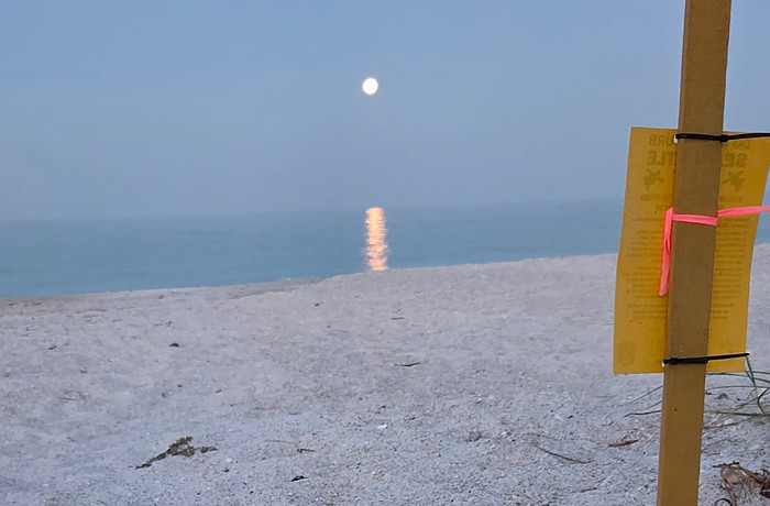Volunteers with the Longboat Key Turtle Watch discovered the first hatched nest of the season on Longboat Key while out patrolling in the early morning hours.