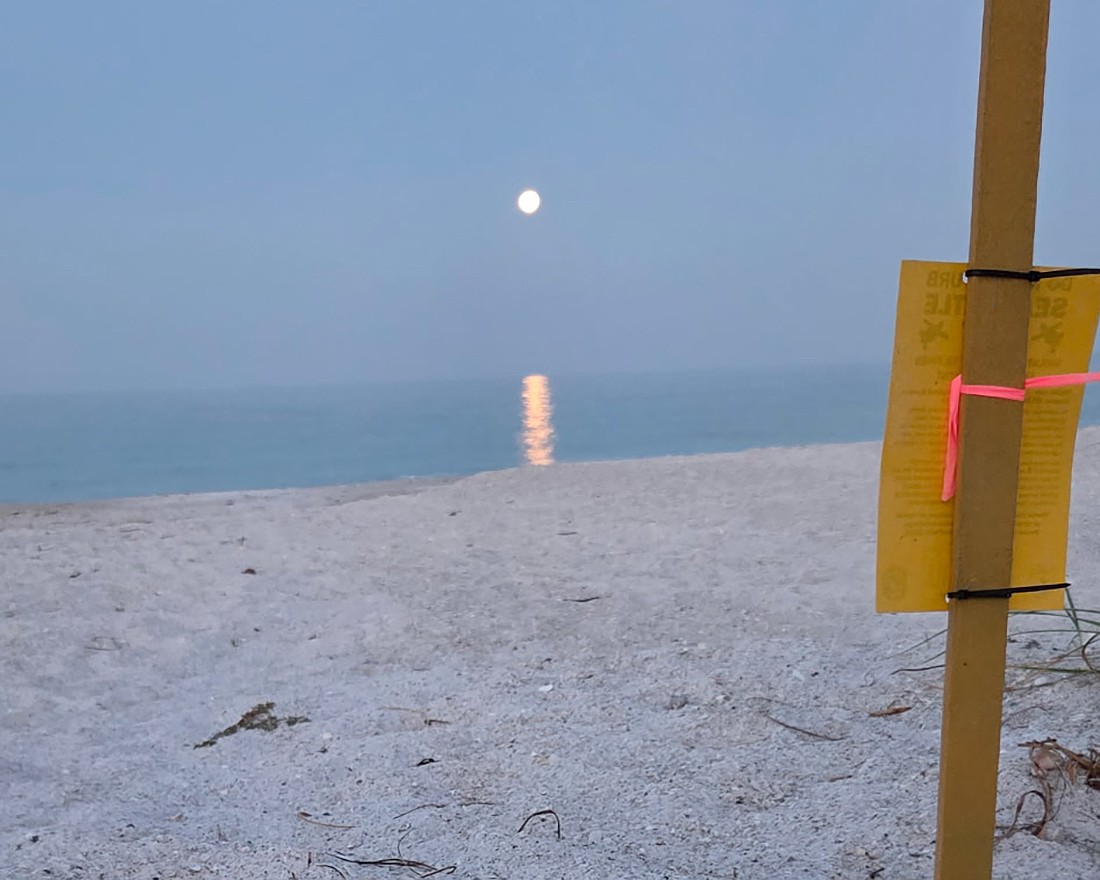 Volunteers with the Longboat Key Turtle Watch discovered the first hatched nest of the season on Longboat Key while out patrolling in the early morning hours.