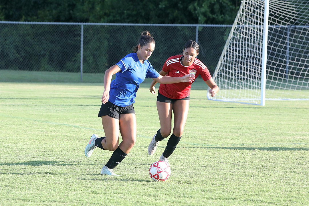 SIDELINES: Seabreeze girls soccer rising freshmen exceeding expectations; DSC's Will Dunne retires after 34 years as AD