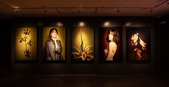 An interior view of Lynn Goldsmith's "Shared Light" photo exhibition in the Richard and Ellen Sandor Museum of Botany & the Arts at Marie Selby Botanical Gardens.