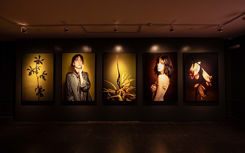An interior view of Lynn Goldsmith's "Shared Light" photo exhibition in the Richard and Ellen Sandor Museum of Botany & the Arts at Marie Selby Botanical Gardens.