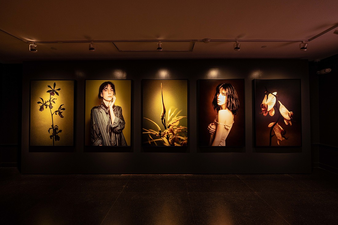 An interior view of Lynn Goldsmith's "Shared Light" photo exhibition in the Richard and Ellen Sandor Museum of Botany & the Arts at Marie Selby Botanical Gardens.