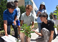 Coastwise student development team members Charles Mesia, Justin Kim (back), Colton McGill, Gabi Otera (back) and John Onesti gather to utilize a NASA STELLA Q-2 VNIR spectrometer, a handheld device that measures light intensity and plant health.