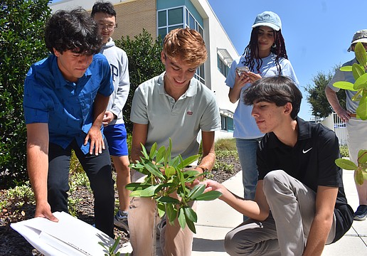 Coastwise student development team members Charles Mesia, Justin Kim (back), Colton McGill, Gabi Otera (back) and John Onesti gather to utilize a NASA STELLA Q-2 VNIR spectrometer, a handheld device that measures light intensity and plant health.