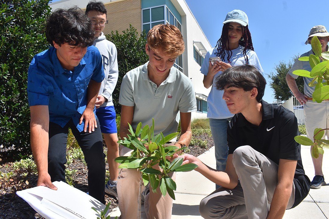 Coastwise student development team members Charles Mesia, Justin Kim (back), Colton McGill, Gabi Otera (back) and John Onesti gather to utilize a NASA STELLA Q-2 VNIR spectrometer, a handheld device that measures light intensity and plant health.