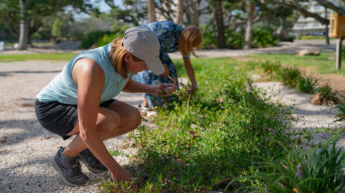 Kelly Shrout (left) and Melanie Dale weed at Bicentennial Park Friday, July 10 in the morning before the heat index reached triple digits.