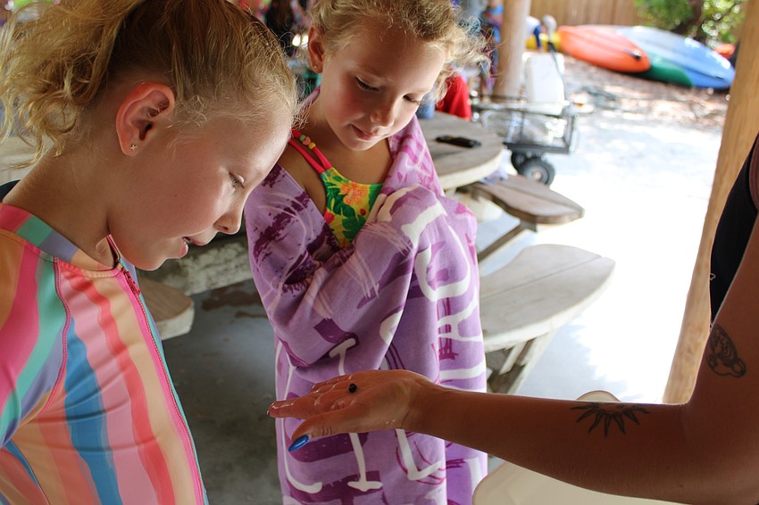 Camp Educator Morgan Swartz shows campers Poppy Otte and Macie Deme a tiny snail from their dip net findings.
