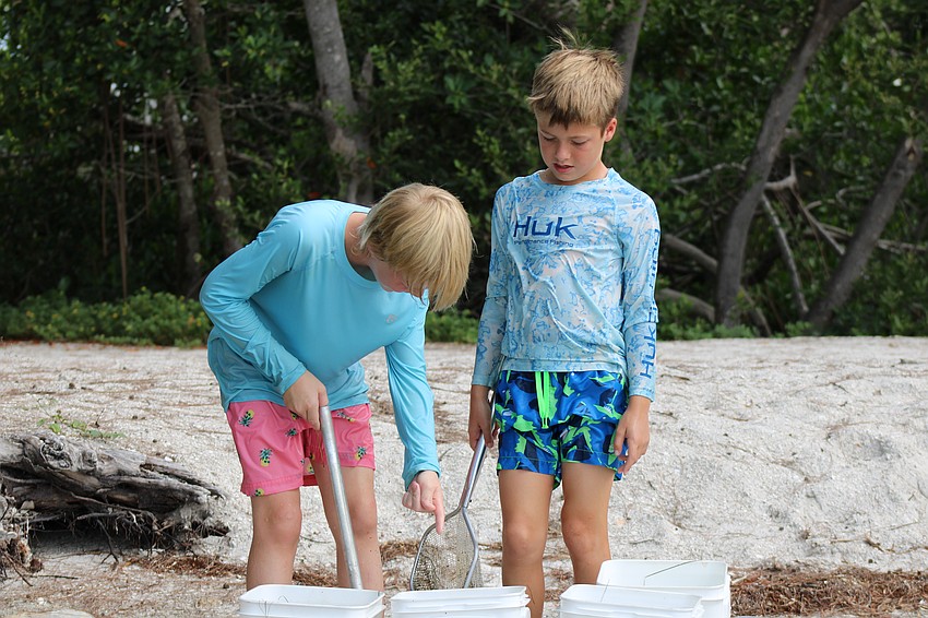 Campers Dawson Smith and Davice Spicer are amazed by their findings while dip netting.