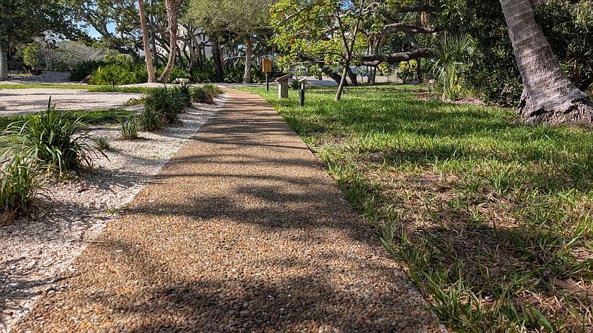 The grass at Bicentennial Park is brown in patches 22 months after Hurricane Helene storm surge flooded the Town Hall-bordering space.